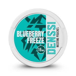 DENSSI Blueberry Freeze (8 mg/pouch)