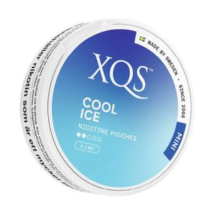 XQS Cool Ice Mini (4.2 mg/pouch)